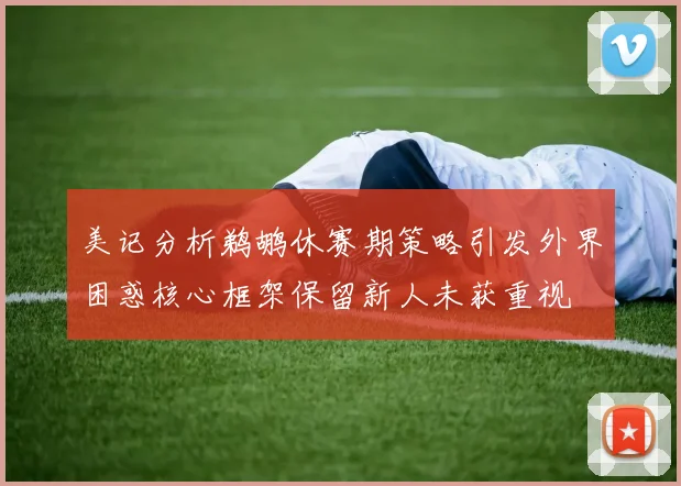 美记分析鹈鹕休赛期策略引发外界困惑核心框架保留新人未获重视
