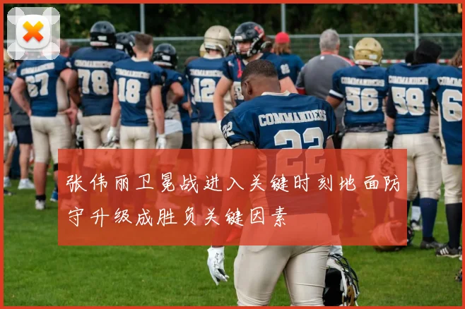 张伟丽卫冕战进入关键时刻地面防守升级成胜负关键因素